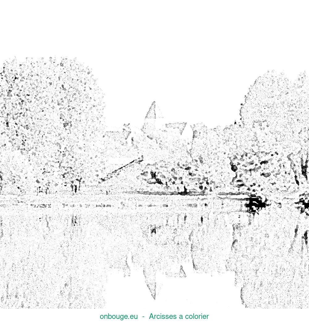 Coloriage d’Arcisses