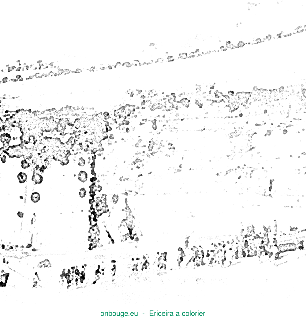 Desenho de Ericeira