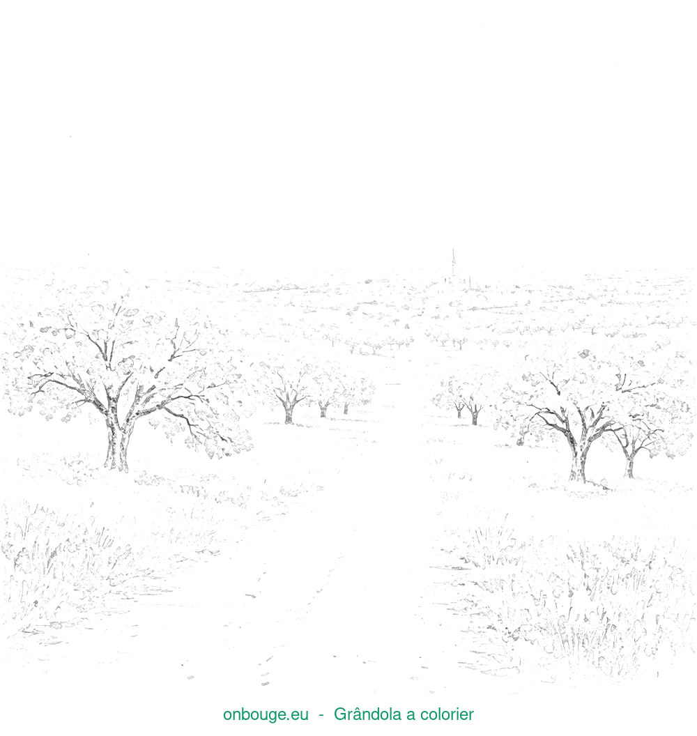 Desenho de Grândola