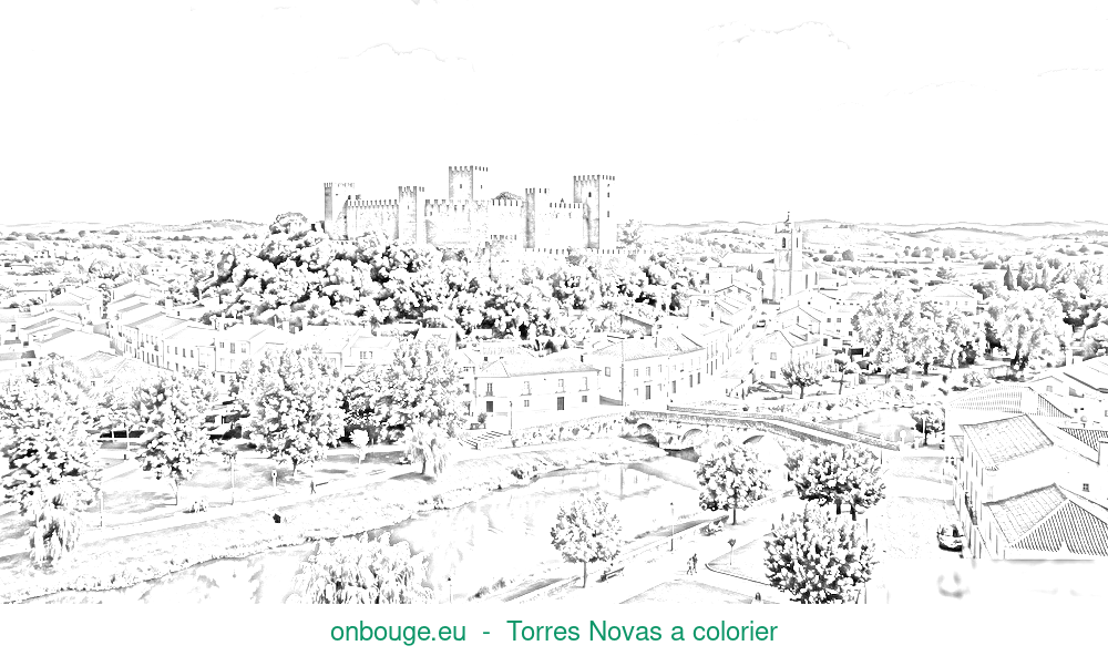 Desenho de Torres Novas